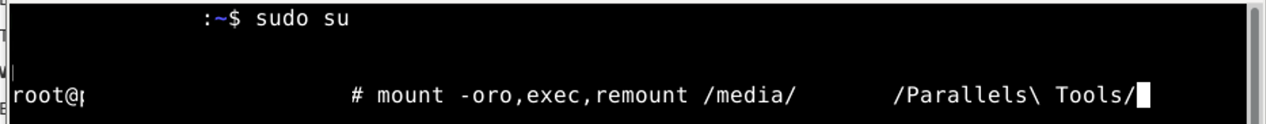 executing command in terminal emulator